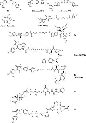 Androgen Receptor-Directed Molecular Conjugates for Targeting Prostate Cancer